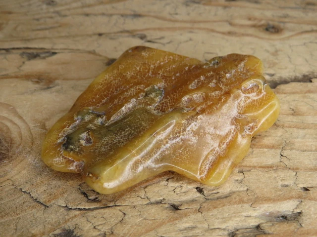 Bursztyn bałtycki 24,8g – okaz kolekcjonerski