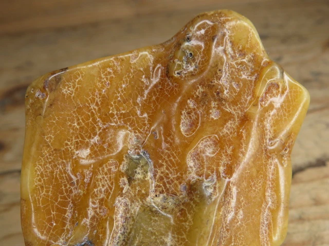 Bursztyn bałtycki 24,8g – okaz kolekcjonerski