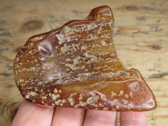 Bursztyn bałtycki 24,5g – okaz kolekcjonerski fluorescencja UV