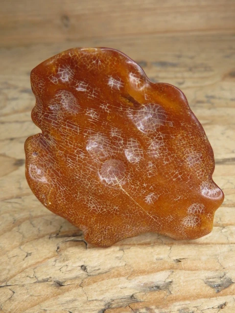 Bursztyn bałtycki 17g – okaz kolekcjonerski