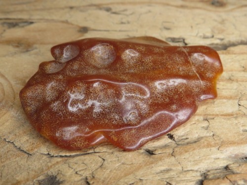 Bursztyn bałtycki 17g – okaz kolekcjonerski