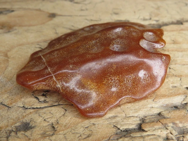 Bursztyn bałtycki 17g – okaz kolekcjonerski