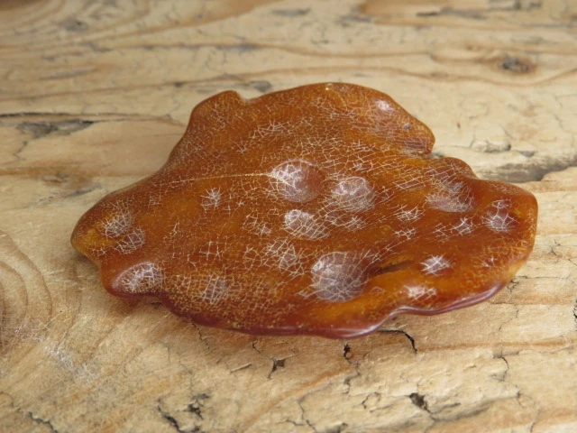 Bursztyn bałtycki 17g – okaz kolekcjonerski