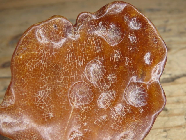 Bursztyn bałtycki 17g – okaz kolekcjonerski