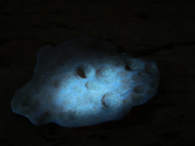 Bursztyn bałtycki 17g – okaz kolekcjonerski fluorescencja UV