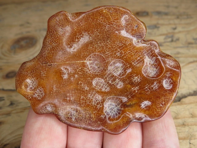 Bursztyn bałtycki 17g – okaz kolekcjonerski