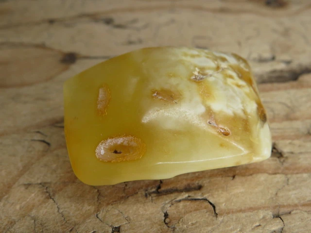 Bursztyn bałtycki 13,6g – okaz kolekcjonerski