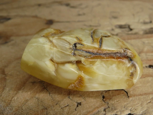 Bursztyn bałtycki 13,6g – okaz kolekcjonerski