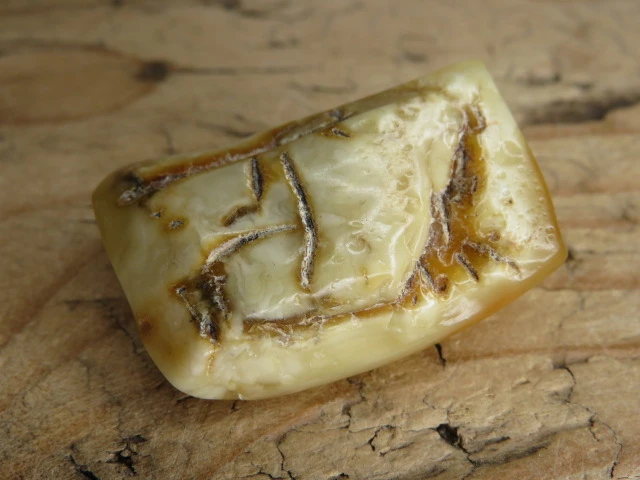 Bursztyn bałtycki 13,6g – okaz kolekcjonerski