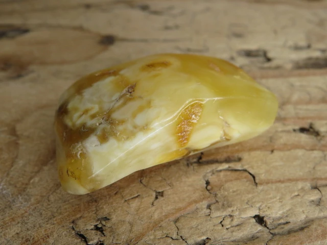 Bursztyn bałtycki 13,6g – okaz kolekcjonerski