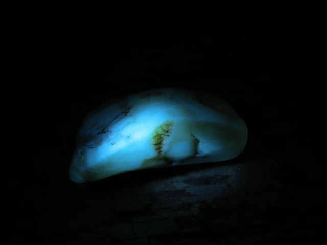 Bursztyn bałtycki 13,6g – okaz kolekcjonerski fluorescencja UV