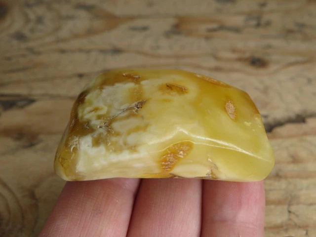 Bursztyn bałtycki 13,6g – okaz kolekcjonerski