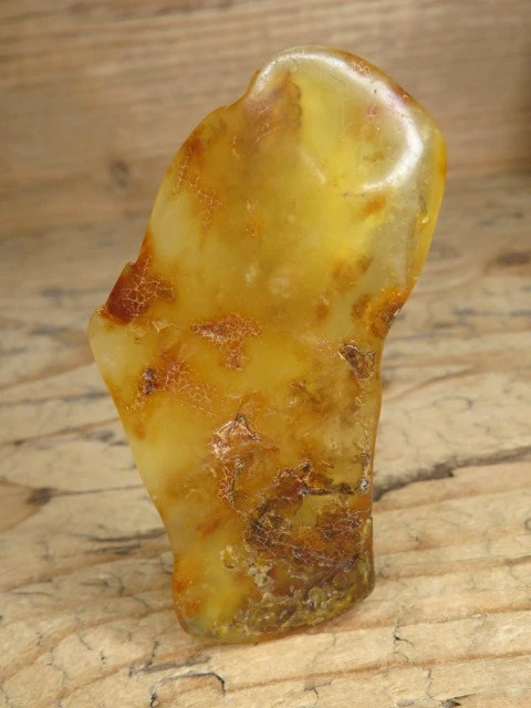 Bursztyn bałtycki 17g – okaz kolekcjonerski