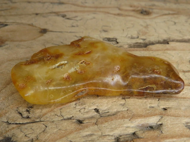 Bursztyn bałtycki 17g – okaz kolekcjonerski
