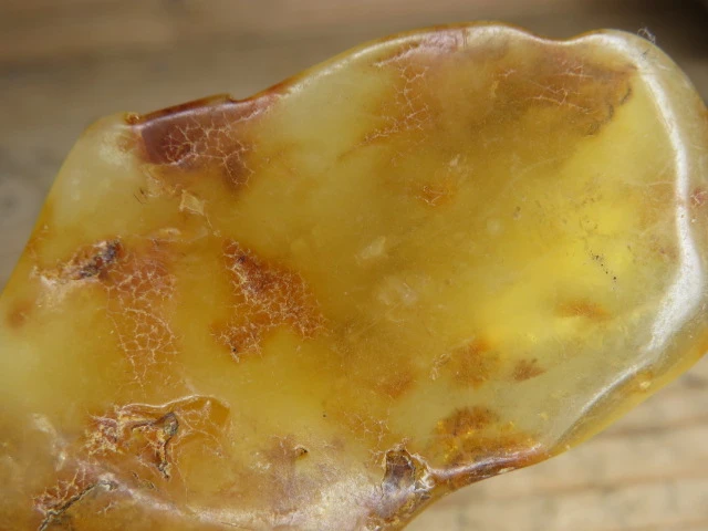 Bursztyn bałtycki 17g – okaz kolekcjonerski