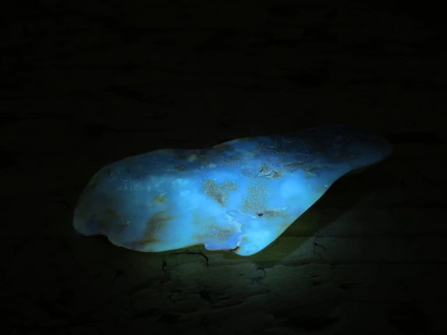 Bursztyn bałtycki 17g – okaz kolekcjonerski fluorescencja UV