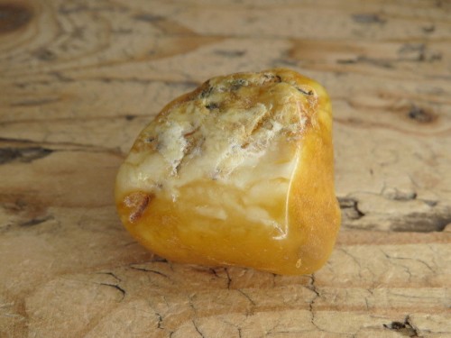 Bursztyn bałtycki 22g – okaz kolekcjonerski