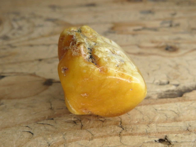 Bursztyn bałtycki 22g – okaz kolekcjonerski