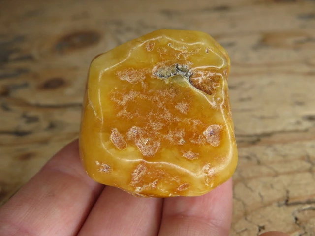 Bursztyn bałtycki 22g – okaz kolekcjonerski