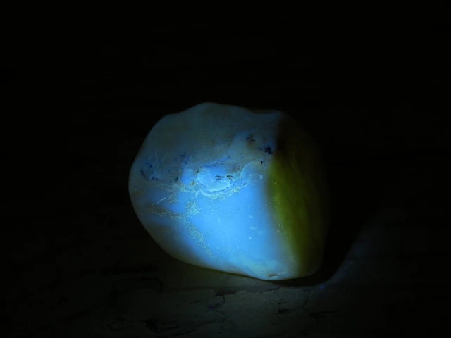 Bursztyn bałtycki 22g – okaz kolekcjonerski fluorescencja UV
