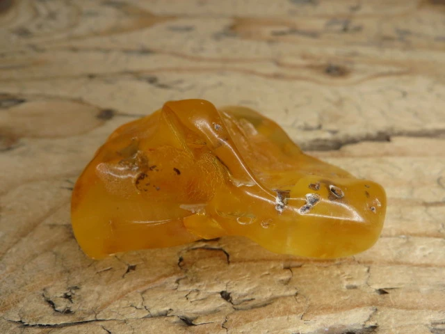 Bursztyn bałtycki 28,8g – okaz kolekcjonerski