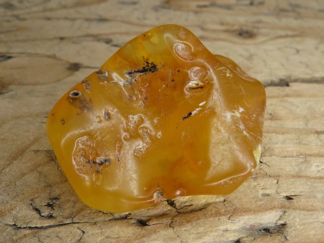 Bursztyn bałtycki 28,8g – okaz kolekcjonerski