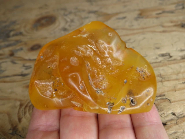 Bursztyn bałtycki 28,8g – okaz kolekcjonerski