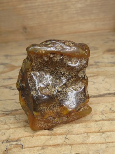 Bursztyn bałtycki 24,3g – okaz kolekcjonerski