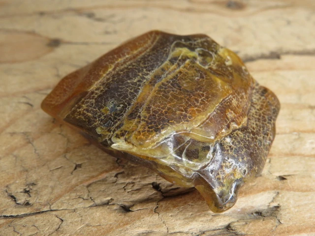 Bursztyn bałtycki 24,3g – okaz kolekcjonerski