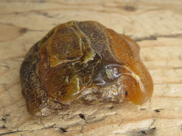 Bursztyn bałtycki 24,3g – okaz kolekcjonerski