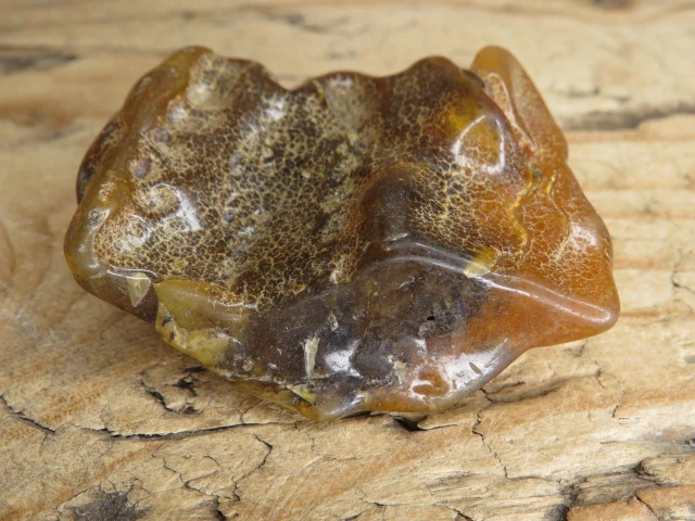 Bursztyn bałtycki 24,3g – okaz kolekcjonerski