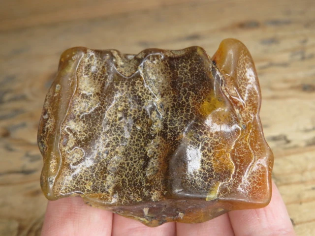 Bursztyn bałtycki 24,3g – okaz kolekcjonerski