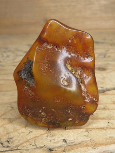 Bursztyn bałtycki 19g – okaz kolekcjonerski