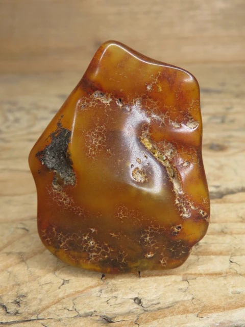 Bursztyn bałtycki 19g – okaz kolekcjonerski