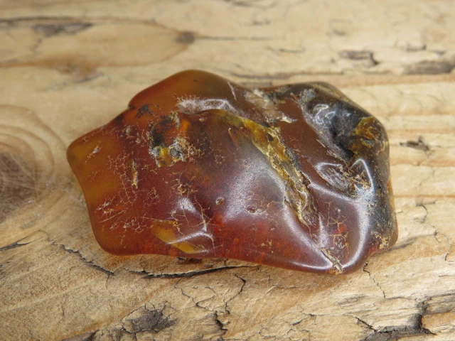 Bursztyn bałtycki 19g – okaz kolekcjonerski