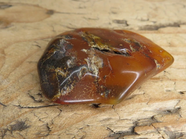 Bursztyn bałtycki 19g – okaz kolekcjonerski