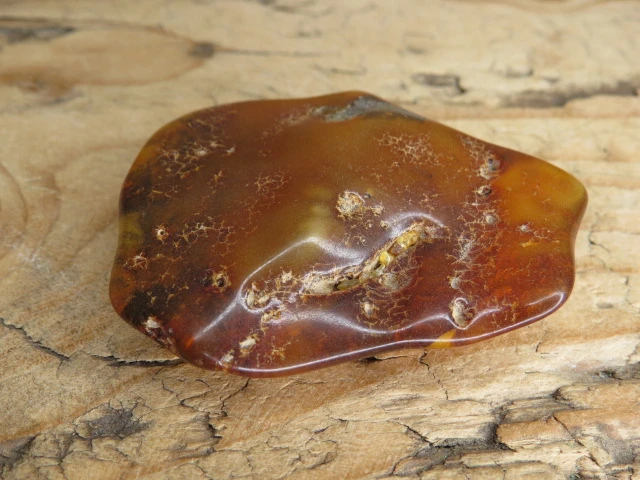 Bursztyn bałtycki 19g – okaz kolekcjonerski