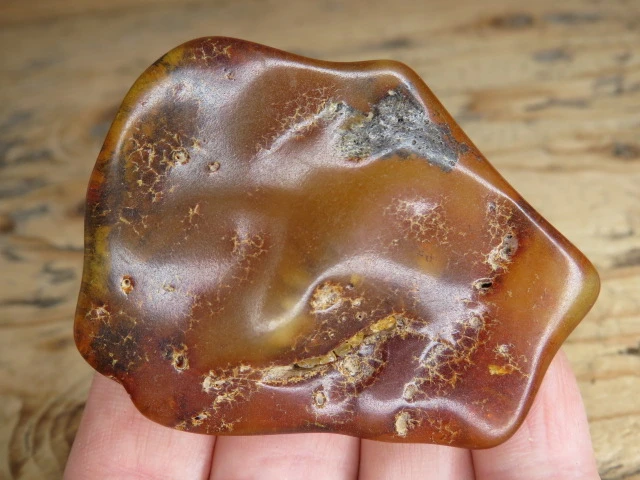 Bursztyn bałtycki 19g – okaz kolekcjonerski