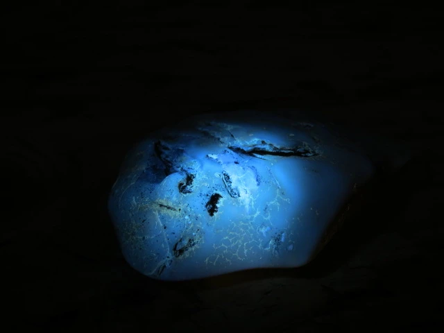 Bursztyn bałtycki 19g – okaz kolekcjonerski fluorescencja UV