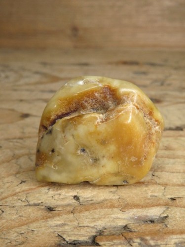 Bursztyn bałtycki 16g – okaz kolekcjonerski