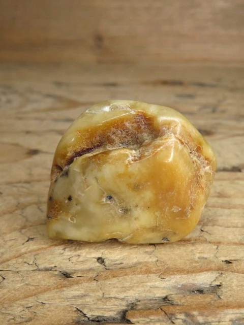 Bursztyn bałtycki 16g – okaz kolekcjonerski