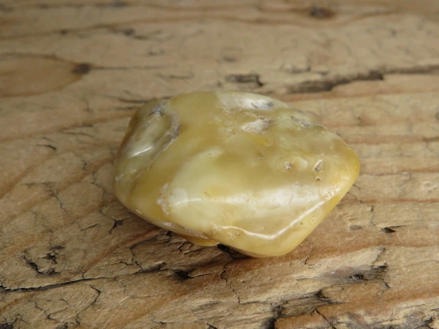 Bursztyn bałtycki 16g – okaz kolekcjonerski