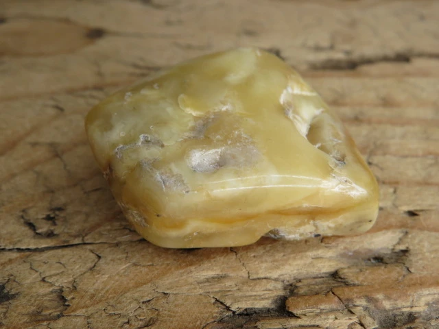 Bursztyn bałtycki 16g – okaz kolekcjonerski