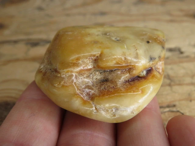 Bursztyn bałtycki 16g – okaz kolekcjonerski