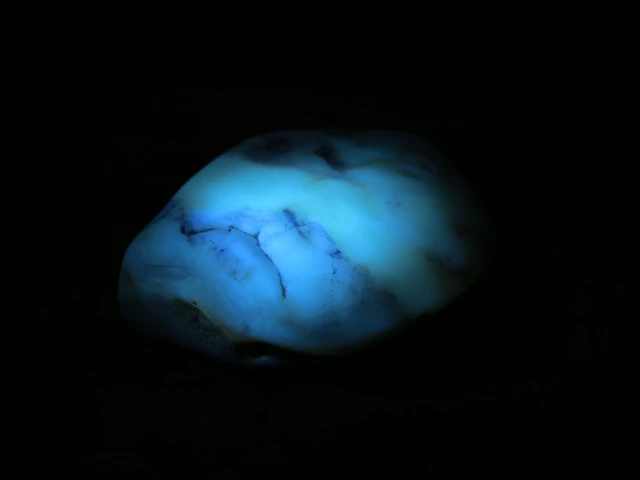 Bursztyn bałtycki 16g – okaz kolekcjonerski fluorescencja UV