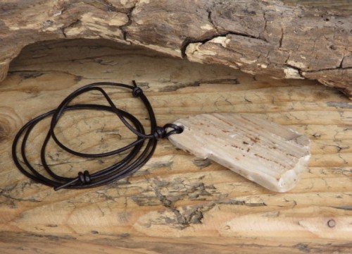 Skamieniałe drewno * wisior na rzemieniu