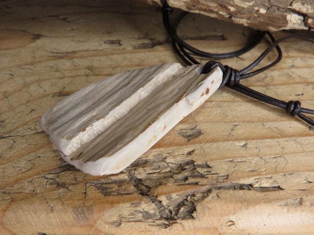 Skamieniałe drewno * wisior na rzemieniu