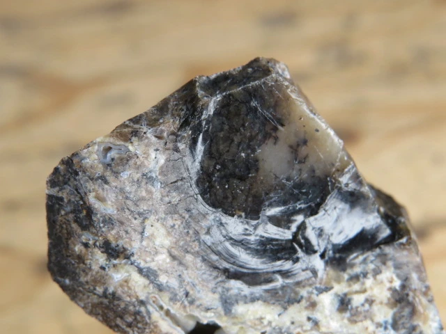 opal czarny Brazylia