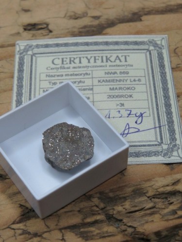Meteoryt kamienny * NWA 869