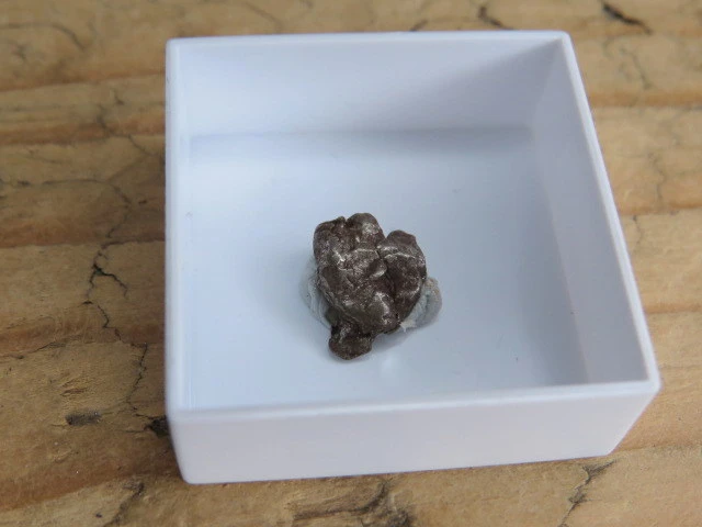 Meteoryt żelazny * Campo del Cielo